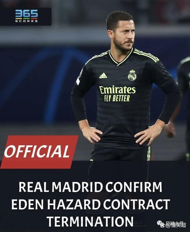 entj为什么普遍智商不高