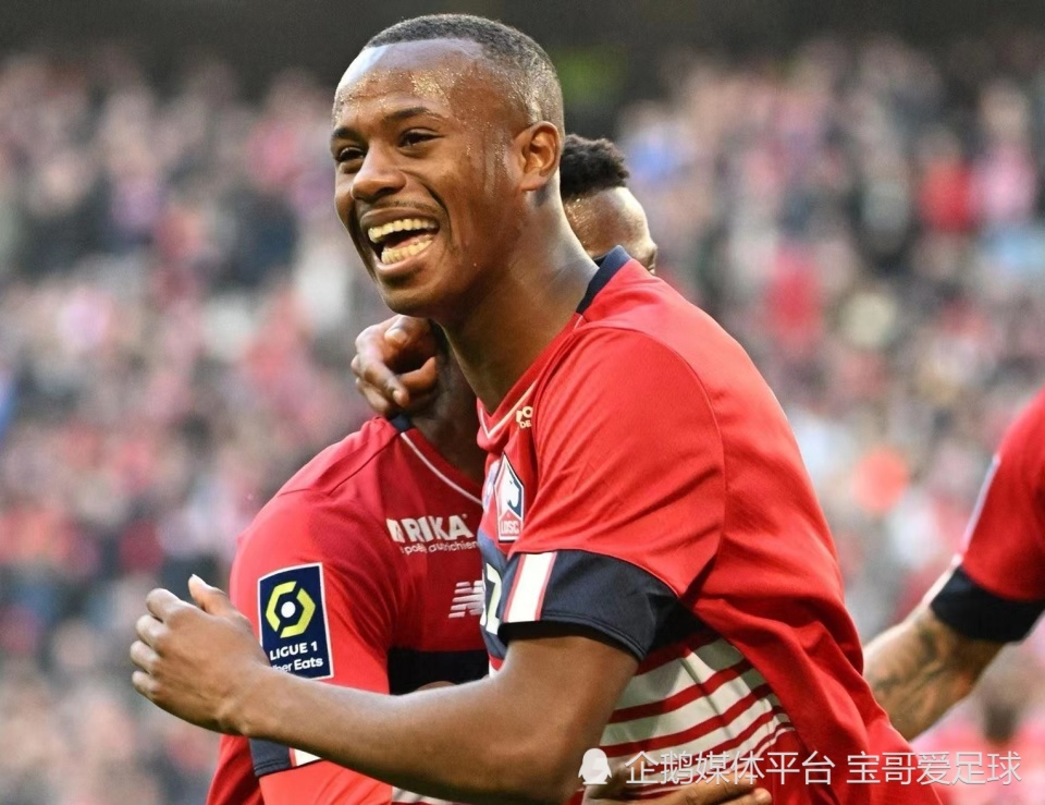 entj为什么普遍智商不高