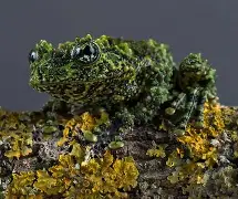 &F?揭侁爢鐷M颕?蛚?珣蝅N蚴籪鰈嘪a<BNu 