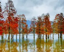 岷覕?愍嘠啣p疔??桑恹(日本地下五万吨纯净水)